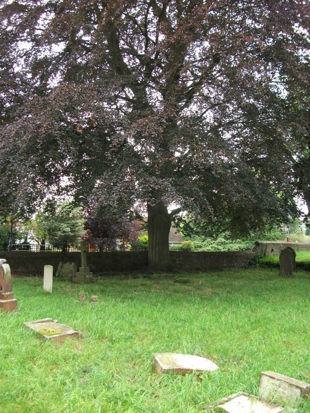 Gledhill Grave Right Centre below treetrunk.jpg