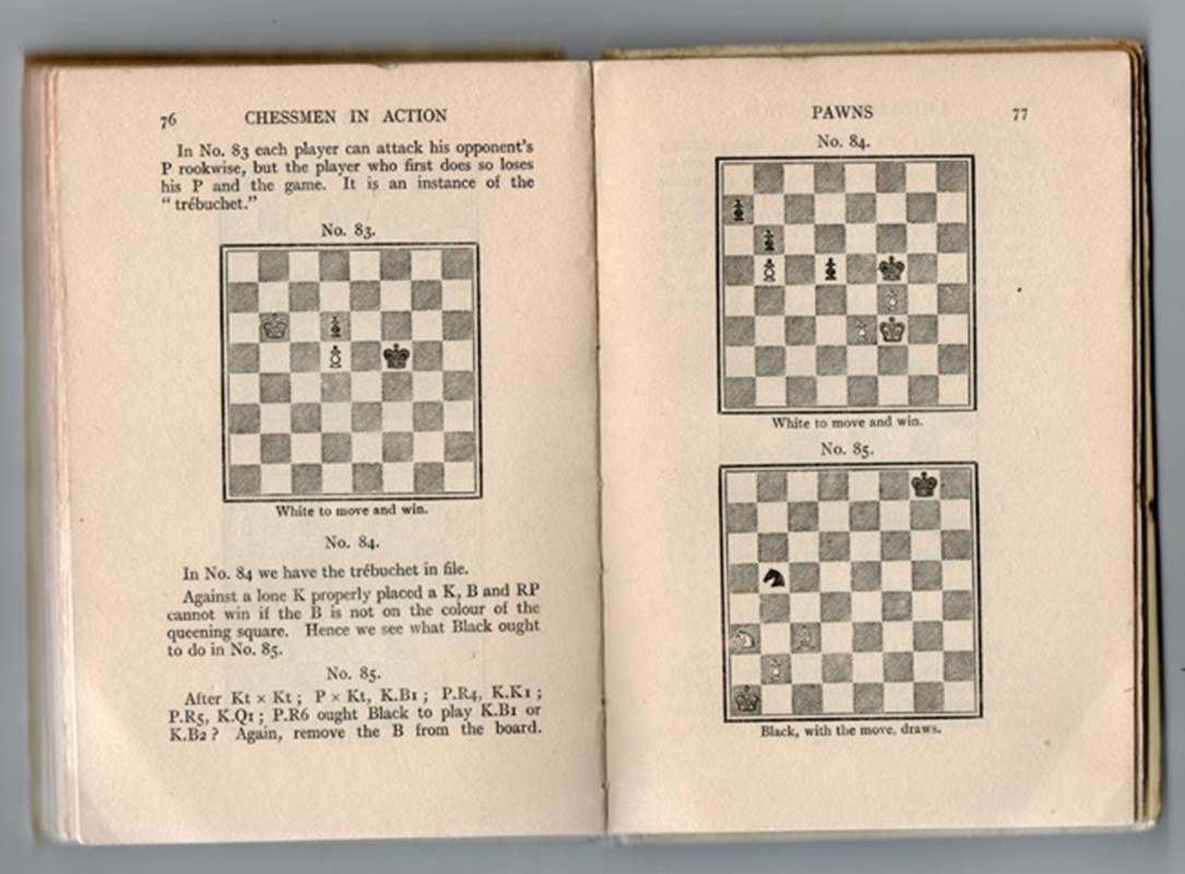An open book with a chess board

Description automatically generated